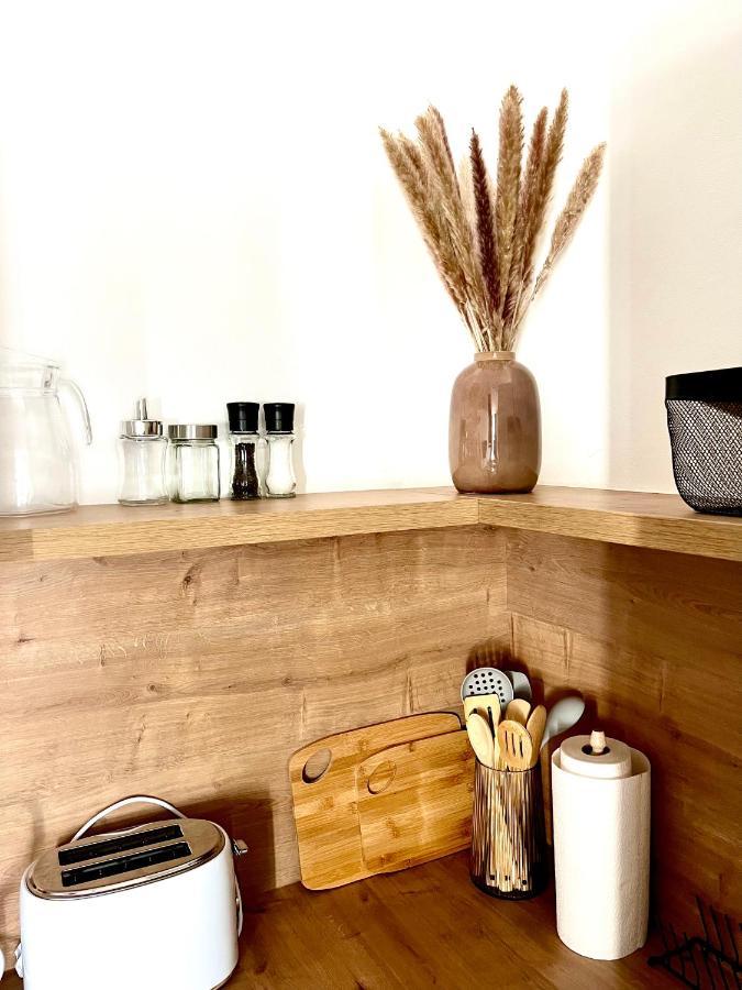 Apartman Elen Nové Město nad Metují エクステリア 写真